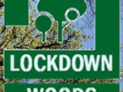 Lockdown-Woods-trees-logo-2